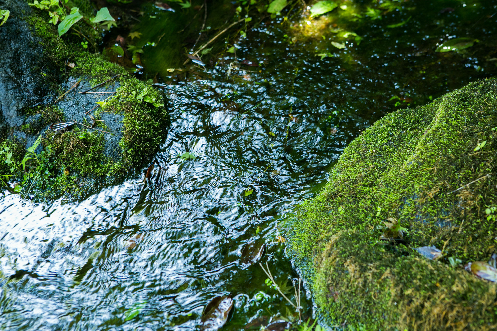 Hotel Yugawara-Onsen Manyoso Zewnętrze zdjęcie