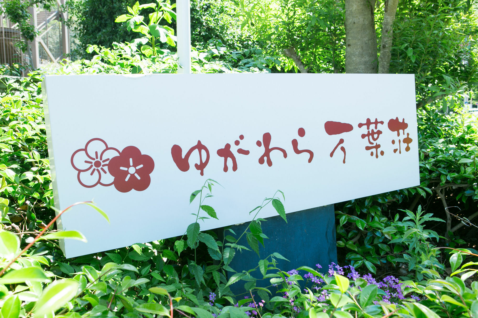 Hotel Yugawara-Onsen Manyoso Zewnętrze zdjęcie