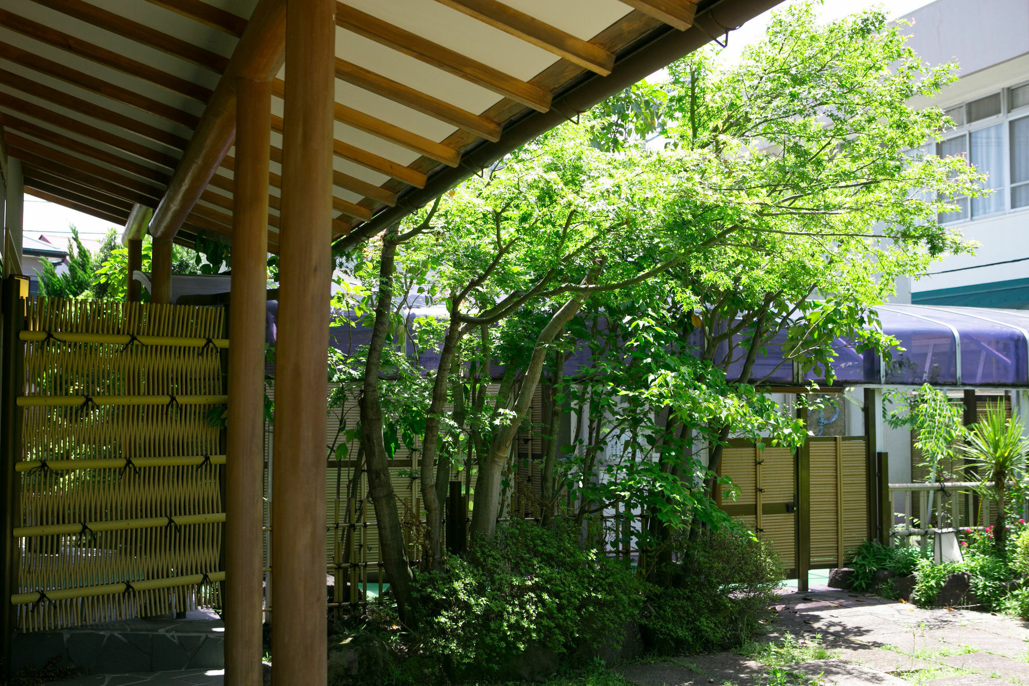 Hotel Yugawara-Onsen Manyoso Zewnętrze zdjęcie
