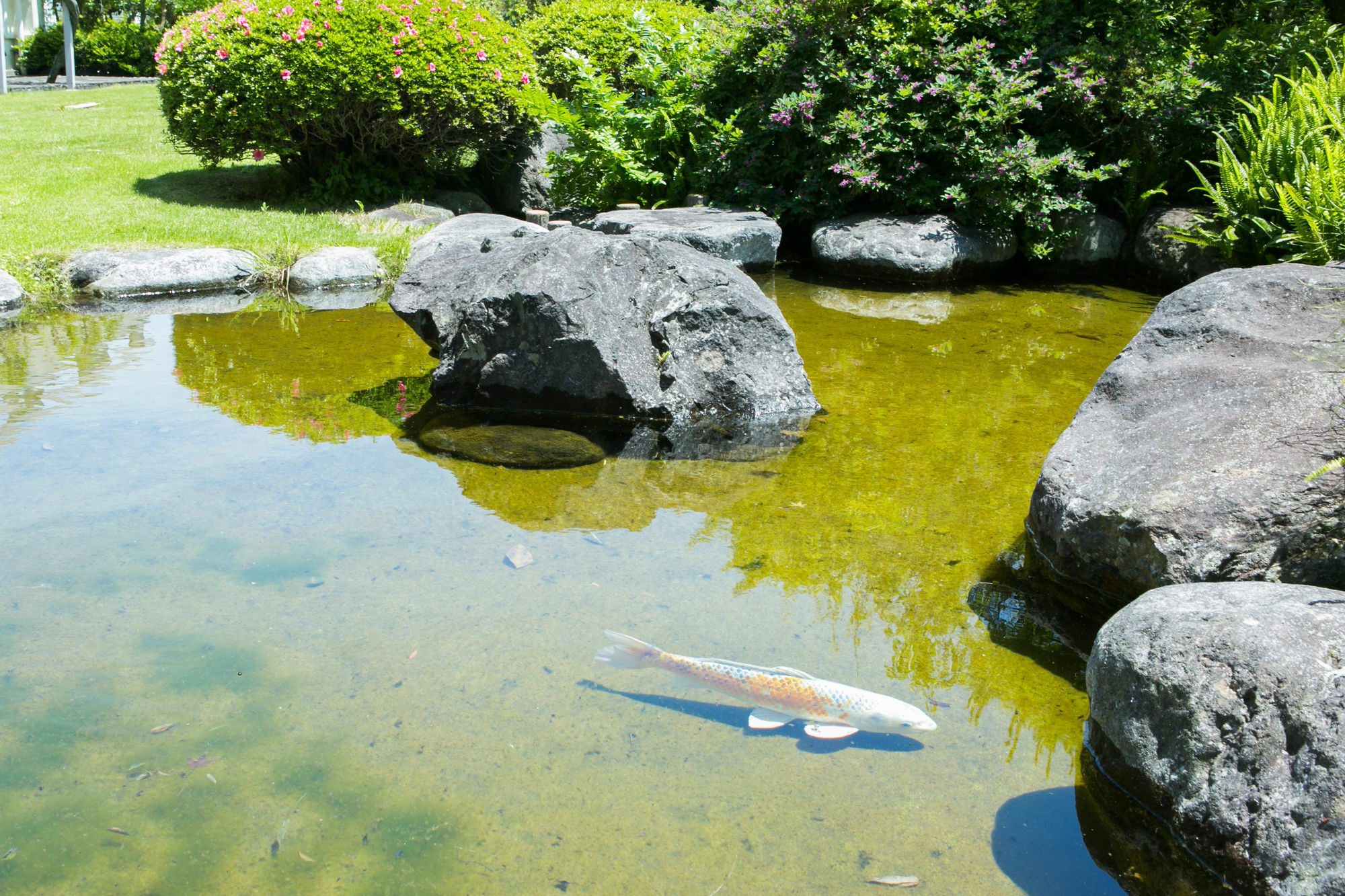 Hotel Yugawara-Onsen Manyoso Zewnętrze zdjęcie
