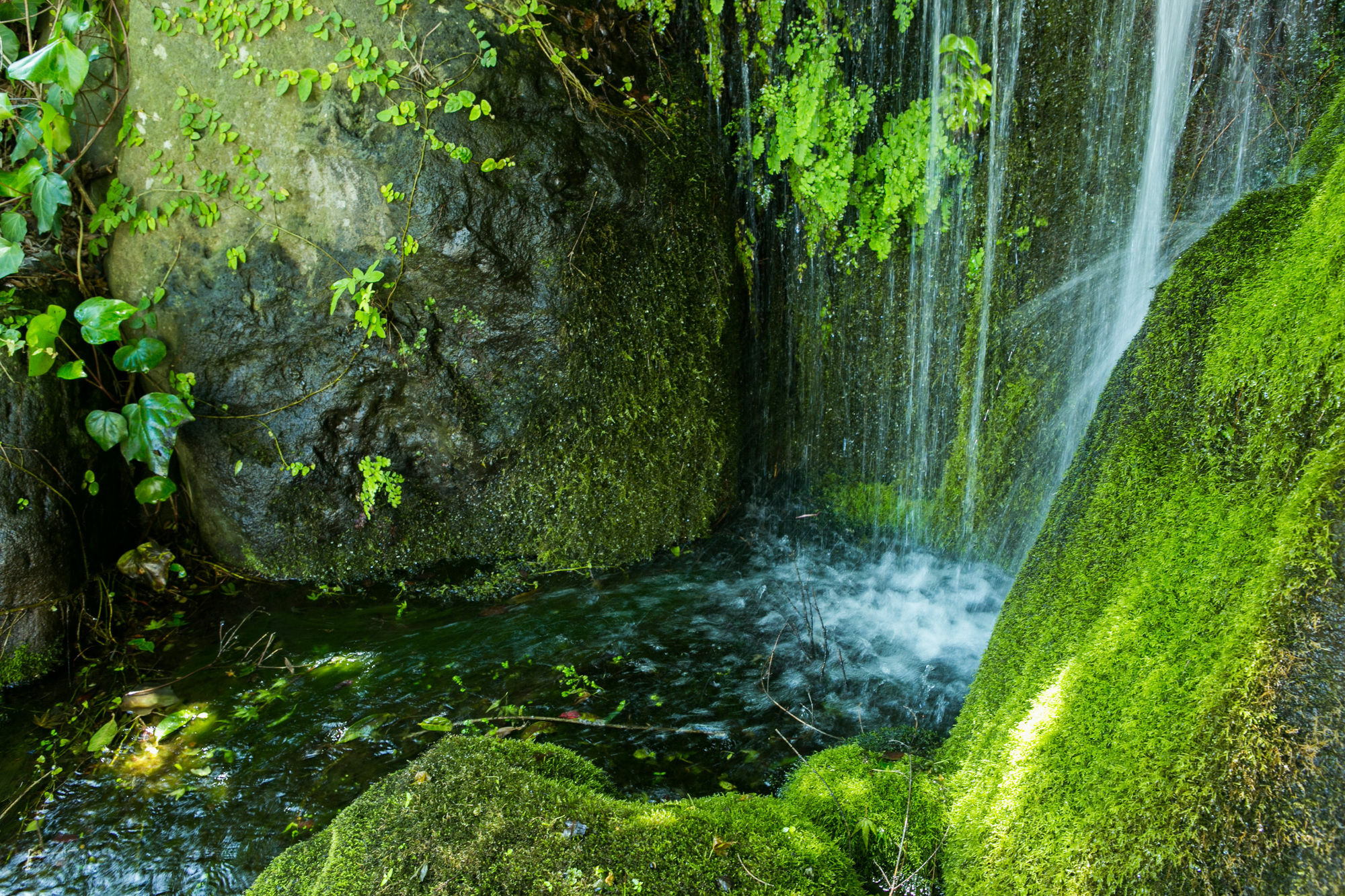 Hotel Yugawara-Onsen Manyoso Zewnętrze zdjęcie